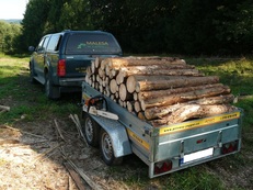 prodej palivového dřeva