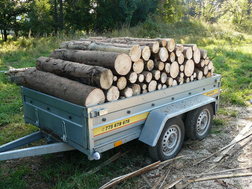 palivové dřevo, Malesa s.r.o.